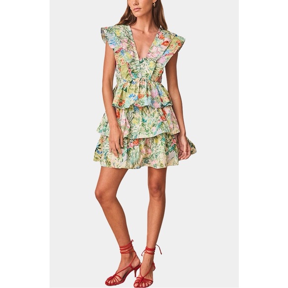 NWT Hunter Bell Pamela Garden Party Floral Dress Sz 2 - Picture 5 of 12